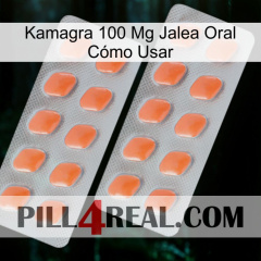 Kamagra 100 Mg Jalea Oral Cómo Usar 27